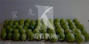 偷瓜村吃瓜群众被抓,一场乡村奇闻引发的思考