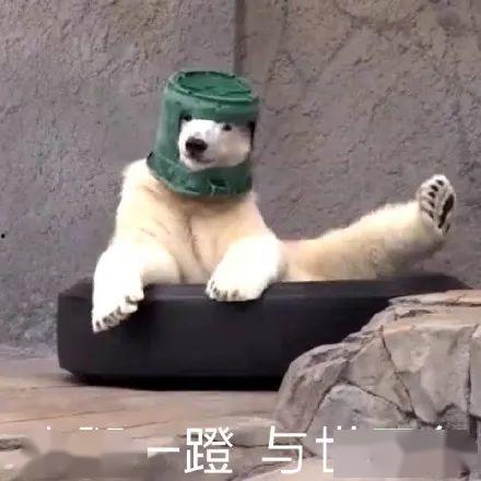 沙雕图片吃瓜,揭秘网络热图的趣味与争议