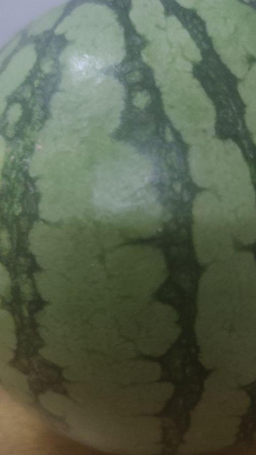 吃瓜季节的诗词,品味吃瓜季节的诗词韵味