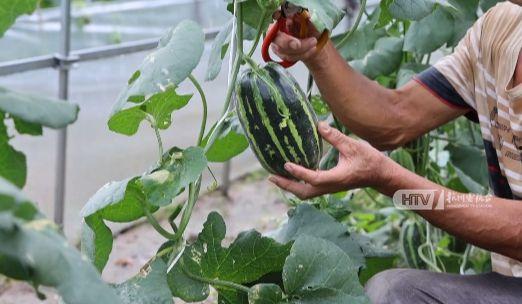 吃瓜萧山,揭秘这座城市的美食与趣事