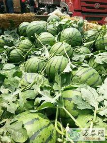 沂水吃瓜事件,一场网络舆论的风暴与反思